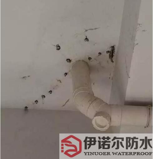 相城蘇州防水工程的基本內容是什么?