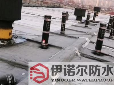 姑蘇吳中口碑好的防水公司公司推薦保質保量
