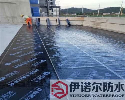 姑蘇蘇州屋面防水